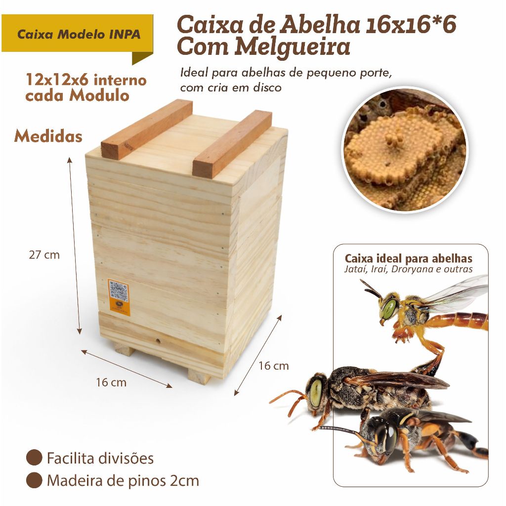 Caixa INPA 16x16x6 com Melgueira – Abelhas Nativas