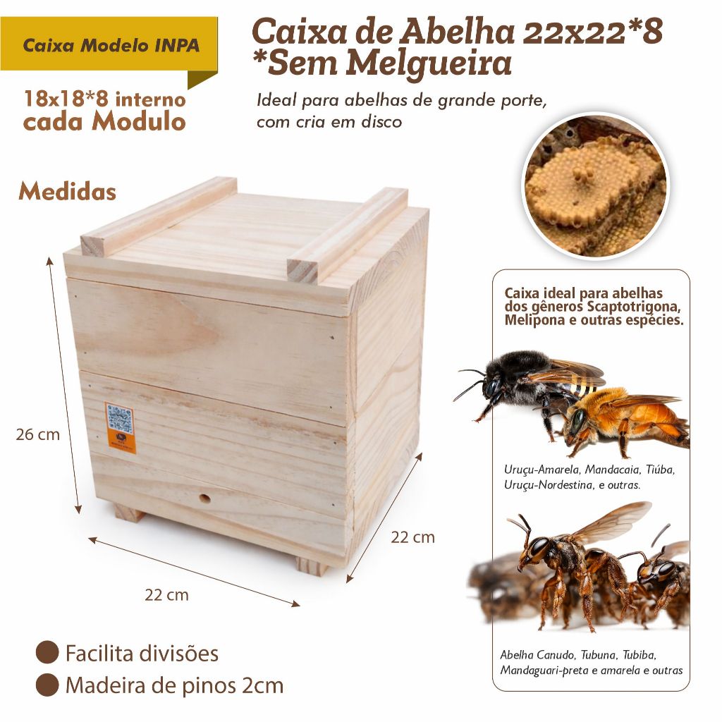 Caixa Modelo INPA 22x22x8 Sem Melgueira – Abelhas Nativas