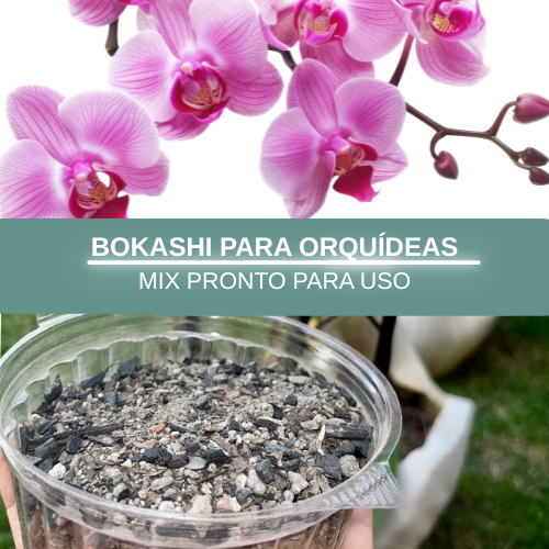 BOKASHI Fertilizante Adubo para Orquídea, Phaleanopolis, Cattleya, Dendrobium