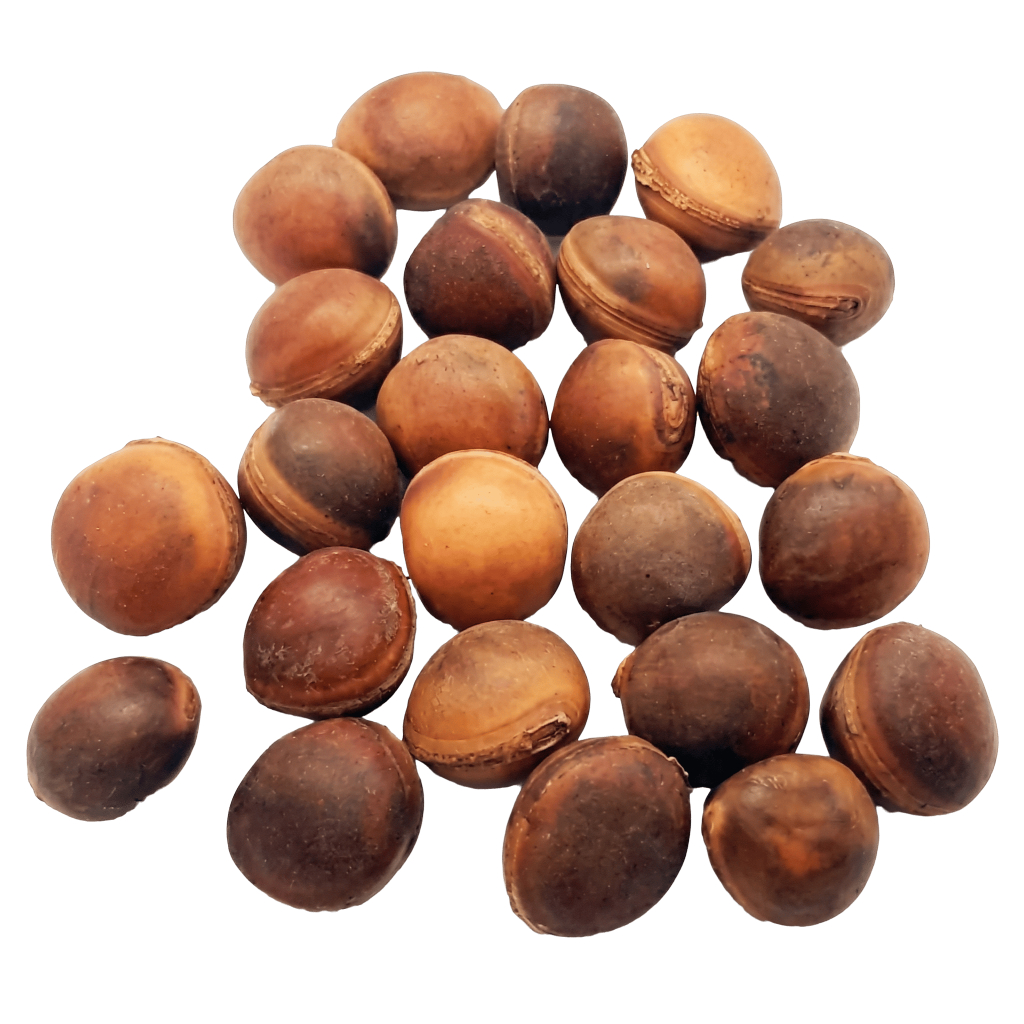 Olho De Boi Mucunã 10 Sementes Amuleto Natural De Proteção