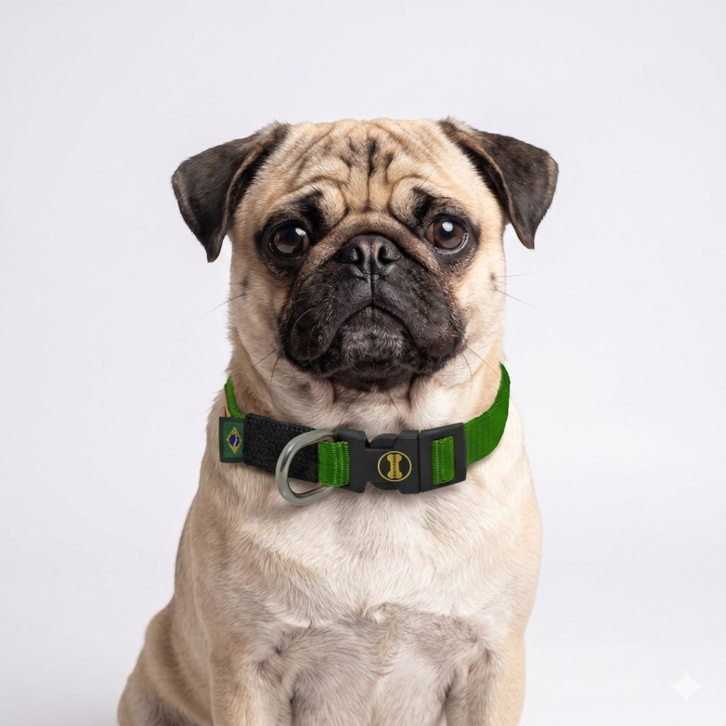 Coleira Pug Verde Collar Little Pequeno Cachorro Pet Dog Cães Amorosso Passeio