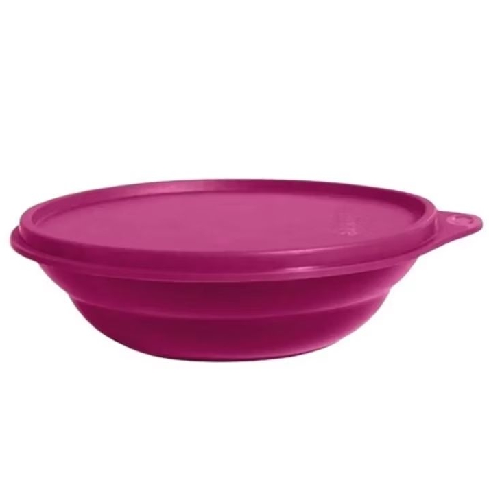 TUPPER PRAGELA 450ML UVA - TUPPERWARE