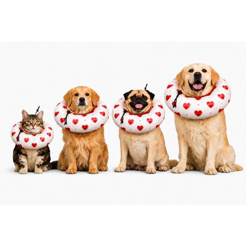 COLAR ELIZABETANO ALMOFADADO CONFORTAVEL FOFINHO PARA GATOS E CAES
