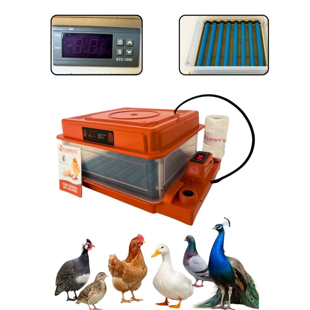 Chocadeira Profissional Eclopinto 20 Ovos Com Viragem Automática
