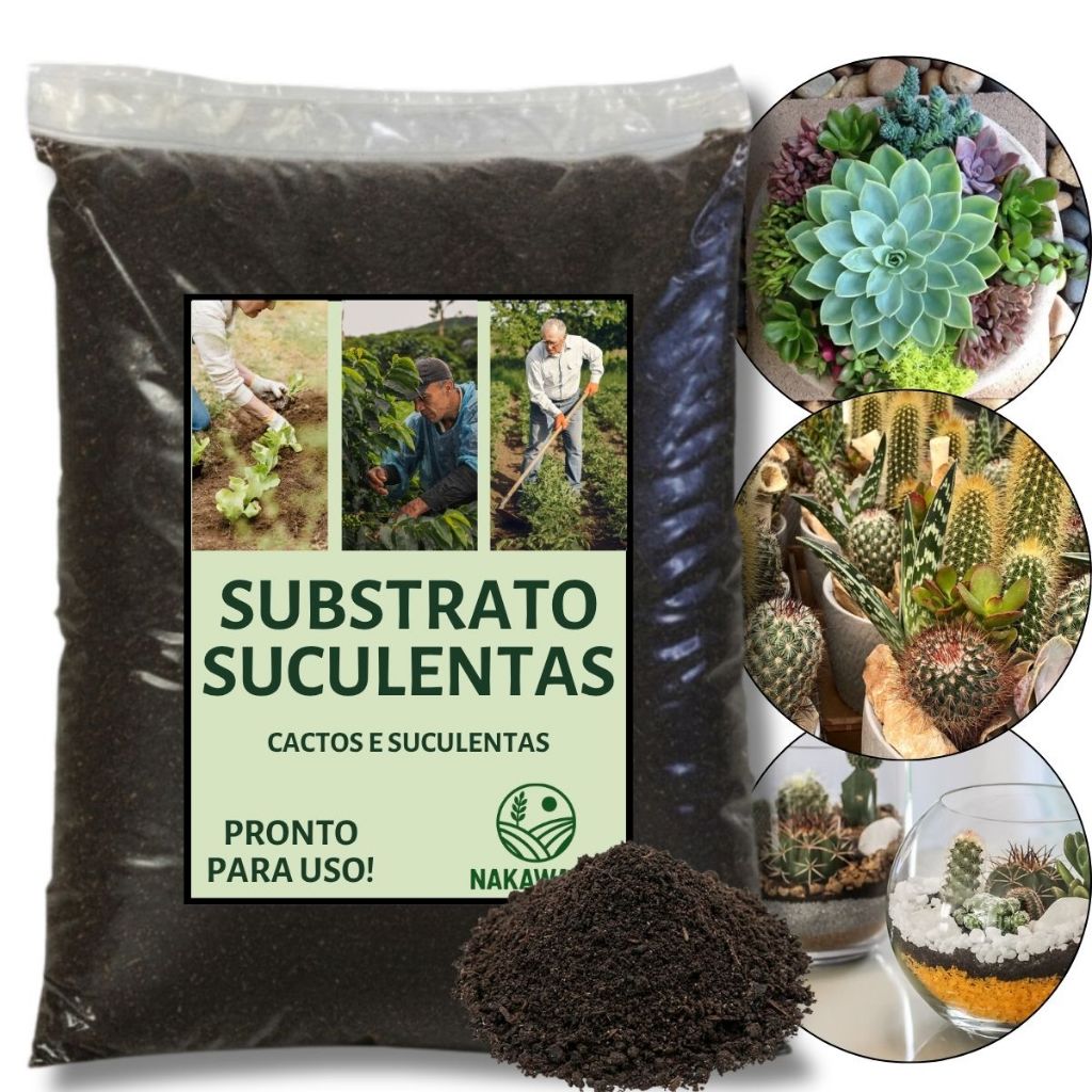 Substrato Para Cactos Suculentas Rosa Do Deserto Plantio Replantio Drenagem Raízes Saudáveis