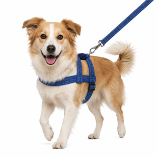 Peitoral Cachorro Com Guia Jeans Reforçado Ajustável