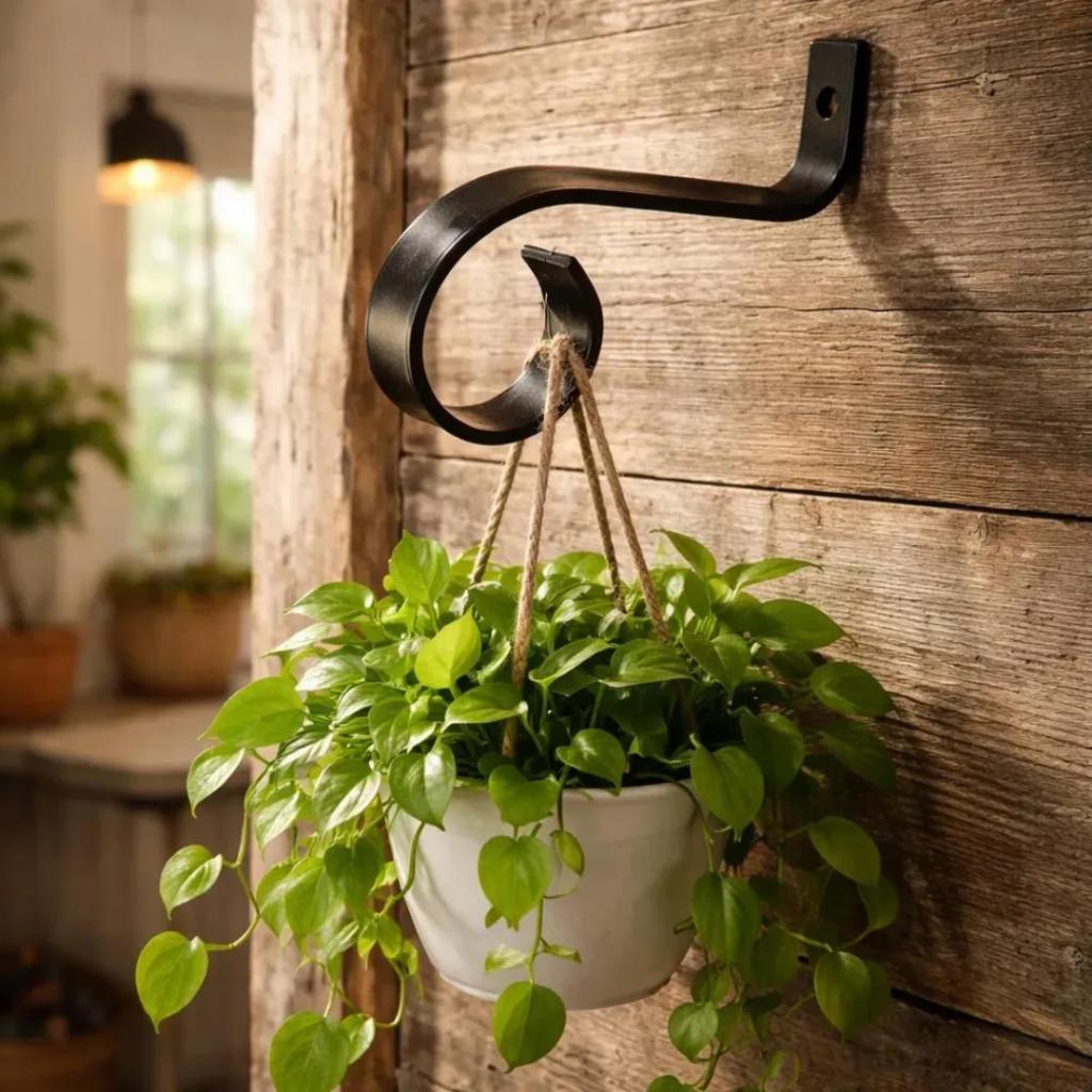 Suporte Organizador Multiuso Reforçado de parede para pendurar plantas/flores/samanbaias/xaxim pintura eletrostatica