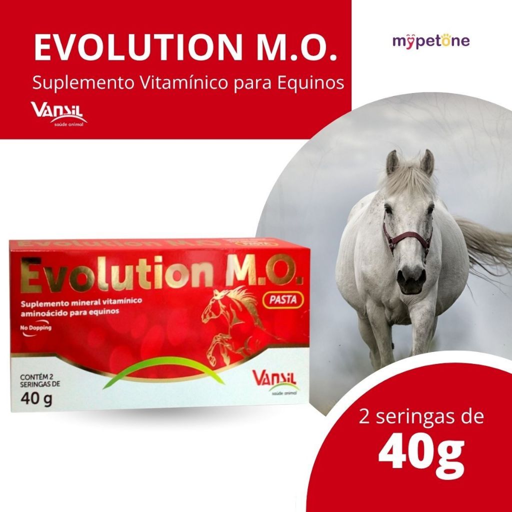 Evolution M.O. C/ 2 X 40 Gr Suplemento Mineral Para Equinos