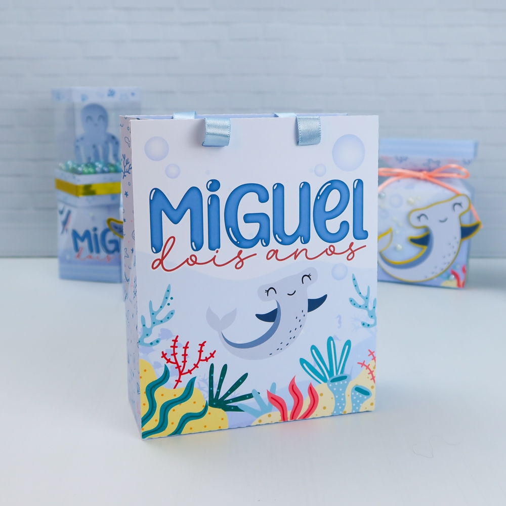 KIT PEGUE E MONTE SACOLINHA LEMBRANCINHA PERSONALIZADA ANIVERSÁRIO CAIXINHAS PERSONALIZADAS