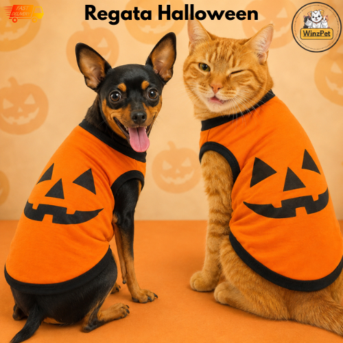 Roupa Tema Halloween Para Cachorro Roupinha Regata Pet Cão Gato Pequeno a Grande