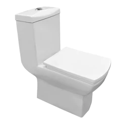 Vaso Sanitário Monobloco Branco Illus Com Caixa Acoplada Assento Soft Close Dual Flush Completo Inowar
