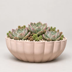 Vaso Decorativo em Polietileno para Planta Bacia Mini Moranga 25x10