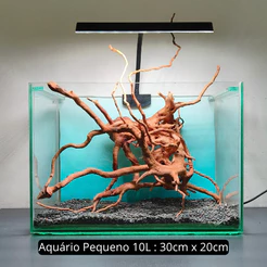 Raiz Tronco Natural 20 a 30 cm Decoração e Enfeite de Aquário Terrario e Lago - Artigos para aquario