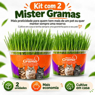 Grama Para Gato Mister C/ 2 Unidades – Auxilia na Digestão e Bola de Pelo / Fácil de Plantar