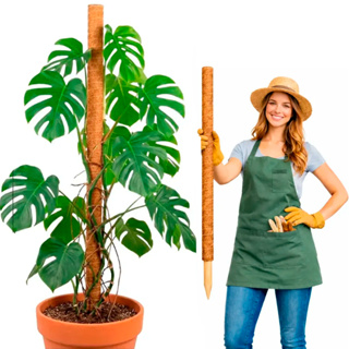 Tutor de Fibra de Coco 120cm para Plantas Trepadeiras Suporte para Jiboia Monstera Filodendro Tutor Natural Jardim em Oferta na Shopee