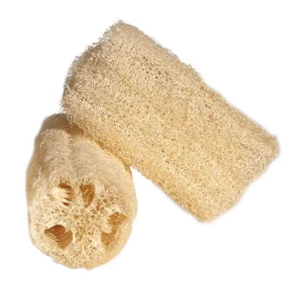 Bucha Vegetal 100% Natural Banho Esfoliante Ecológica Biodegradável Direto do Sítio