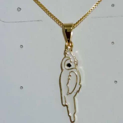 Colar de Calopsita Resinado |Linha Pet | Banho de Ouro 18k e Prata 925