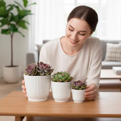 Kit 3 Vasos E Cachepô pequenos Autoirrigável Pra Suculentas E Plantas