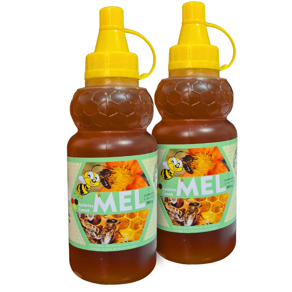1Kg Mel Silvestre Natural Puro Canaã - Kit 2 Bisnaga de 500g