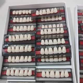 Dentes  de acrílico ótimo estética e resistência e naturalidade em Oferta na Shopee