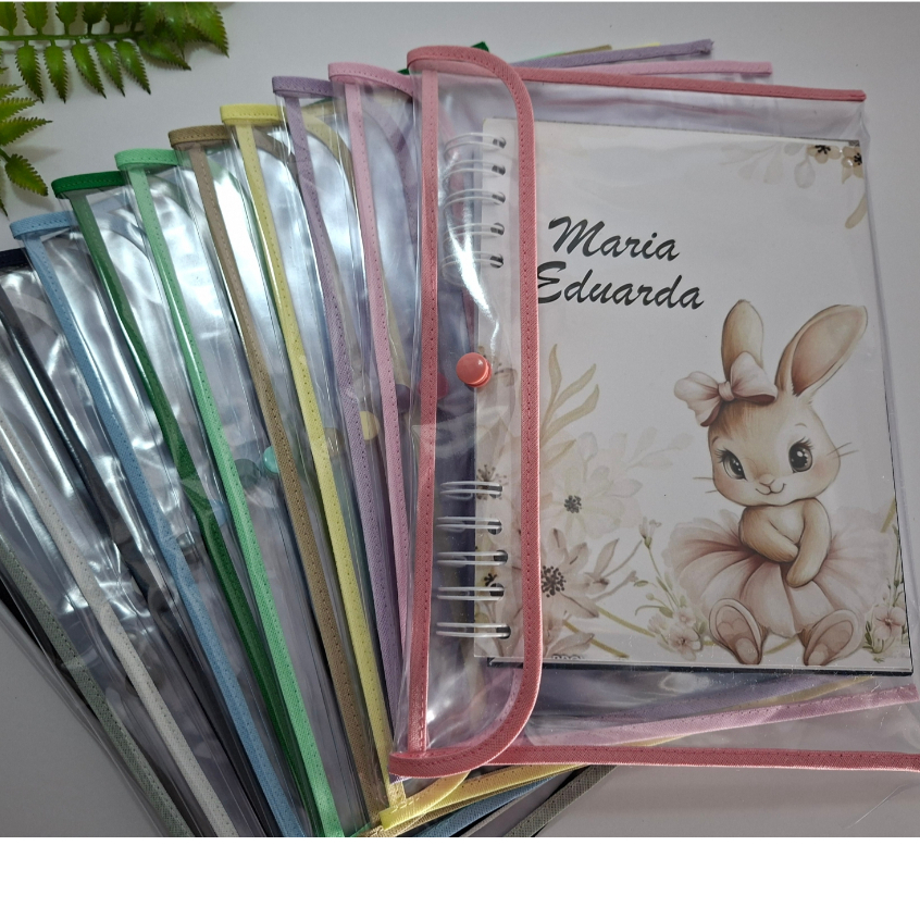 capa plástica para caderneta de vacinação