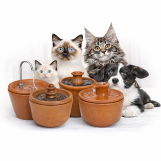 Bebedouro Fonte De Água Para Gatos, Cachorros e Pets em geral, Bivolt - Silencioso e Econômico em Oferta na Shopee