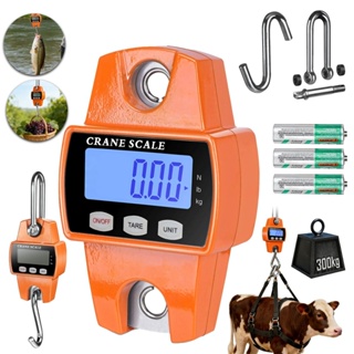 Balança Gancho 300kg Digital Suspensa Balança Mala Bagagem Pesca Crane Scale em Oferta na Shopee