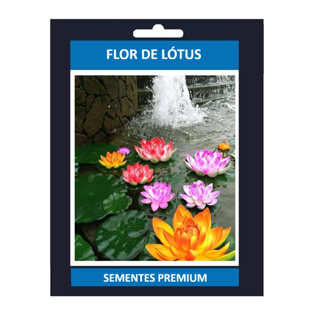 ENVIO SUPER RÁPIDO 10 Sementes de Flor de Lotus Sortidas T1
