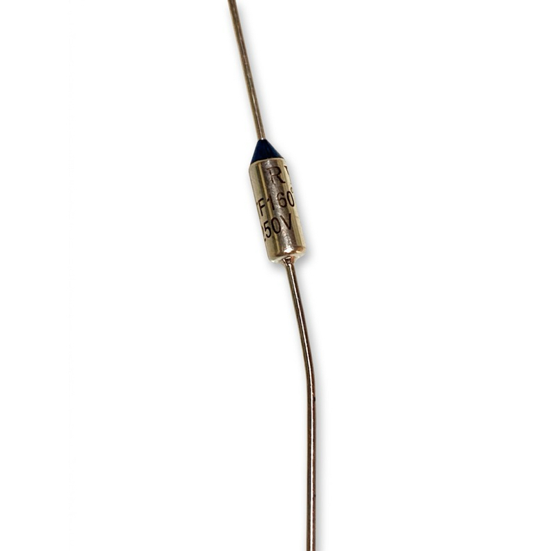 Fusível Térmico 160°C 250V 10A - Peça de Reposição Premium para Eletrodomésticos (2 Unidades)