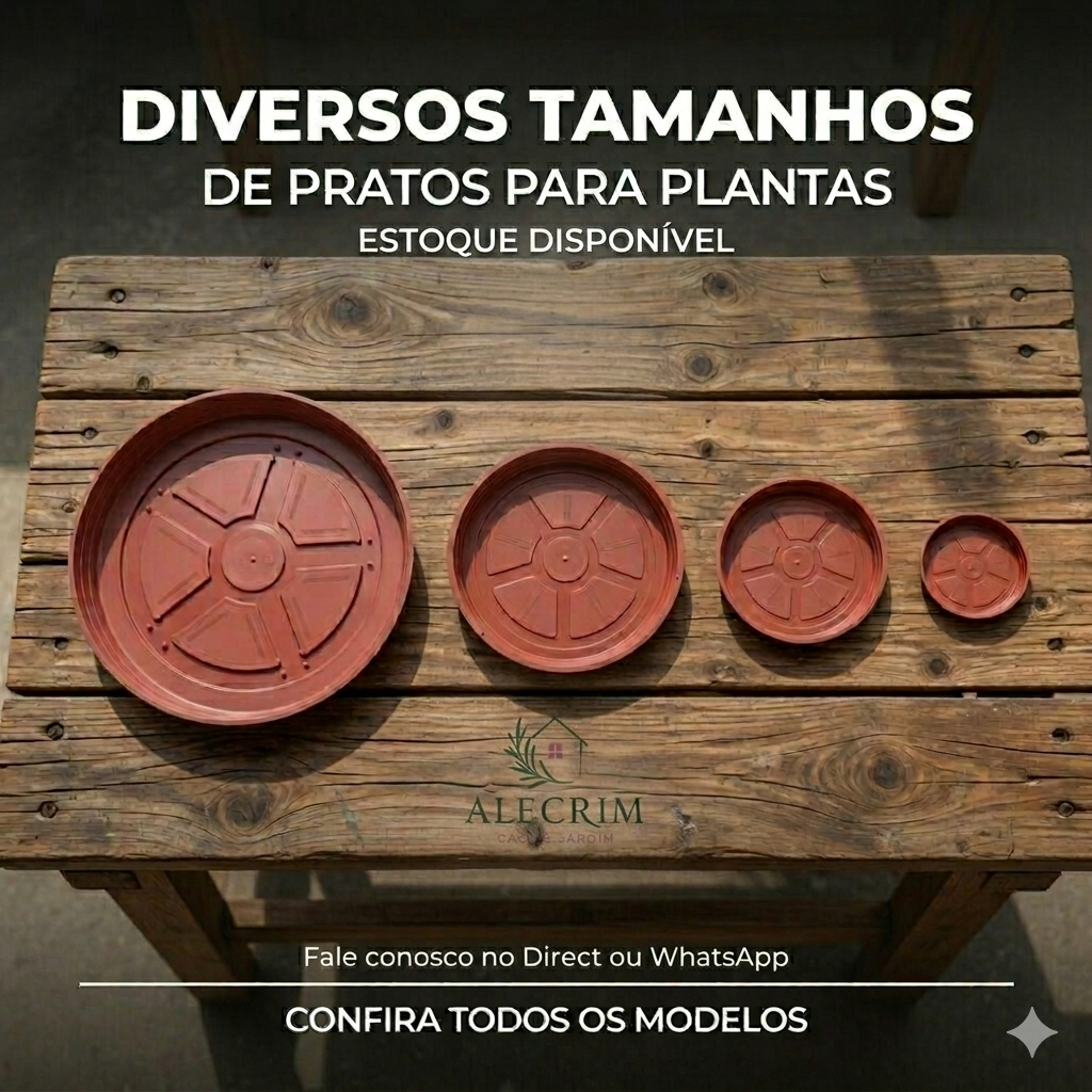 Prato Redondo Para Vaso De Plantas Diversos Tamanhos Potes Plantas Flores Jardim Decoração