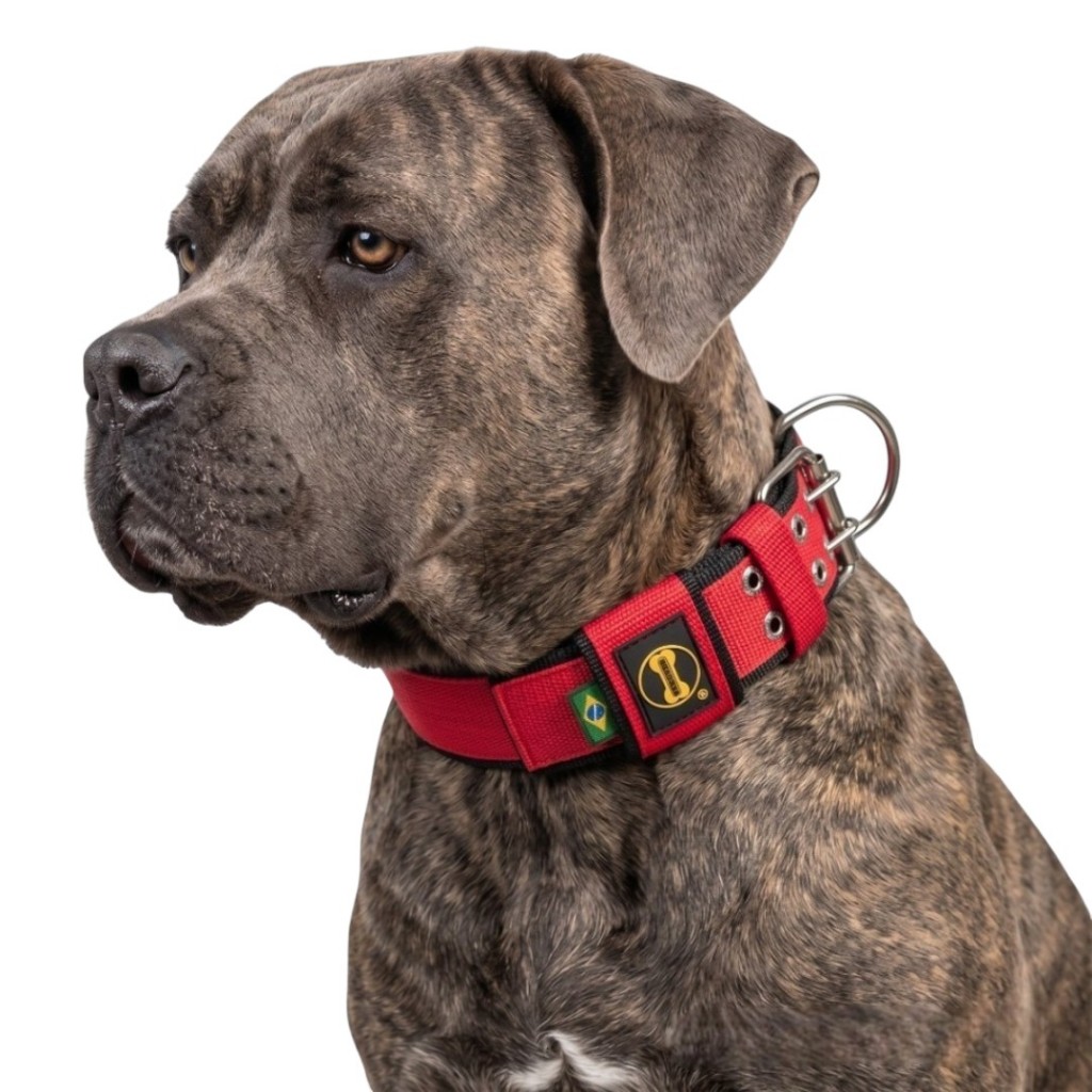 Coleira Cachorro Grande Cane Corso Slim Vermelho Preto Colar Cães Pitbull Rottweiler Dobermann Dogue