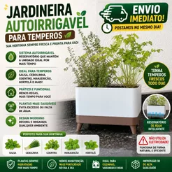 Jardineira Autoirrigável para Temperos, Vaso com Reservatório para Hortinha em Casa