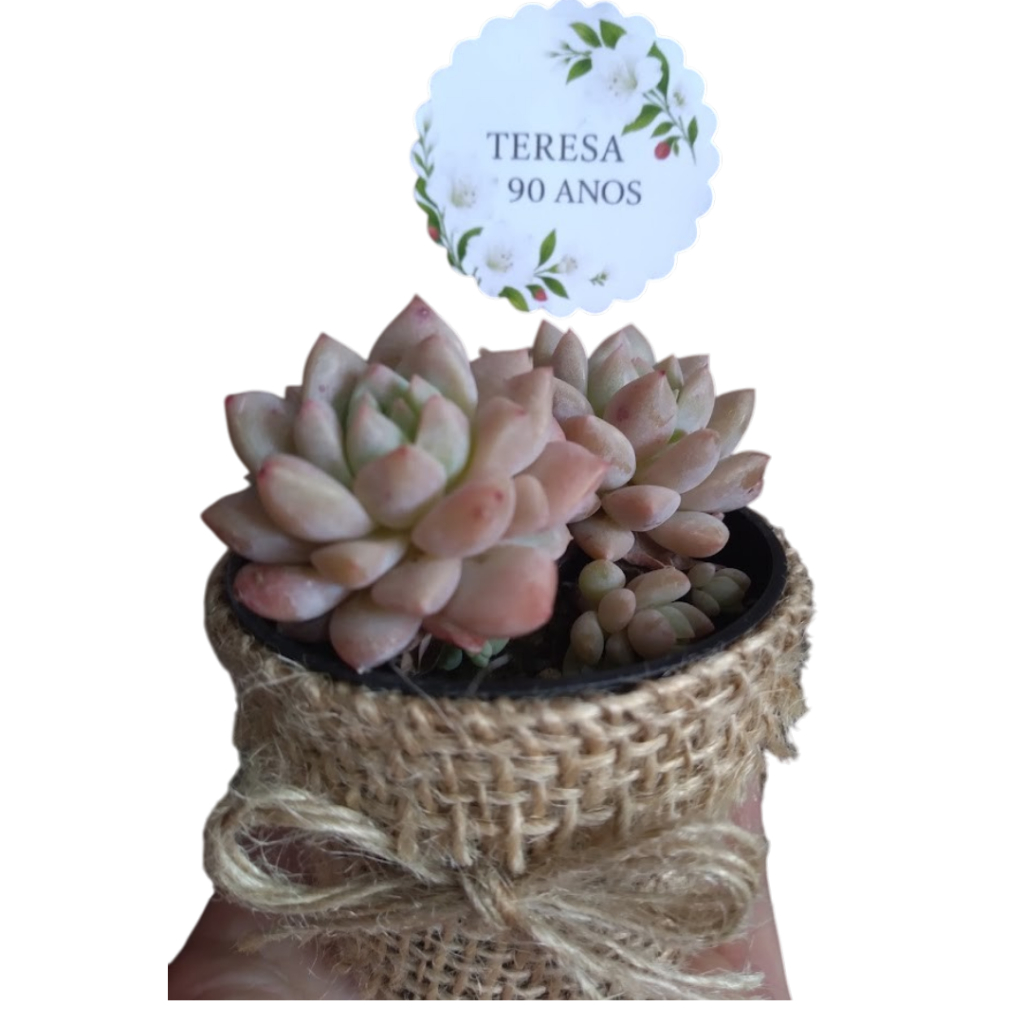 Kit 30 Rótulos De Juta E Tag Personalizada | Cachepot Rústico Para Mini Suculentas | Lembrancinha Casamento Aniversário