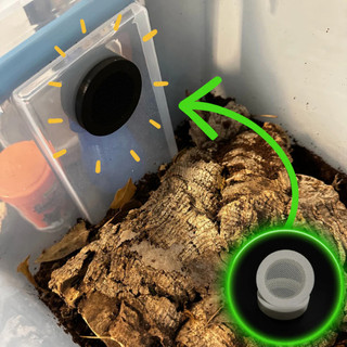 Grade de ventilação de 48mm 1,88 polegadas para isópodes/répteis habitat viveiro