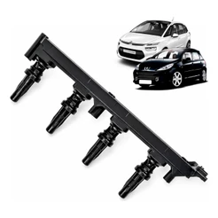 Bobina Ignição Citroen C4 C5 Pallas 2.0 6 Pinos 215977164