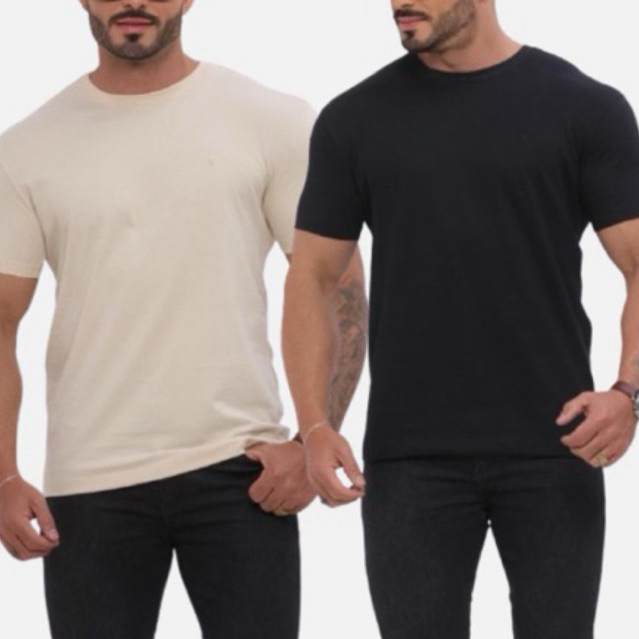 Kit 2 Camisetas Masculinas Camisa Basica Algodão Egípicio Não Amassa