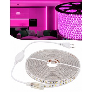 Fita Led Rosa Mangueira Chata 5050 127V Ligação Direta na tomada 1 a 10 Metros Luz Rosa Pink Decorativa Decoração IP65