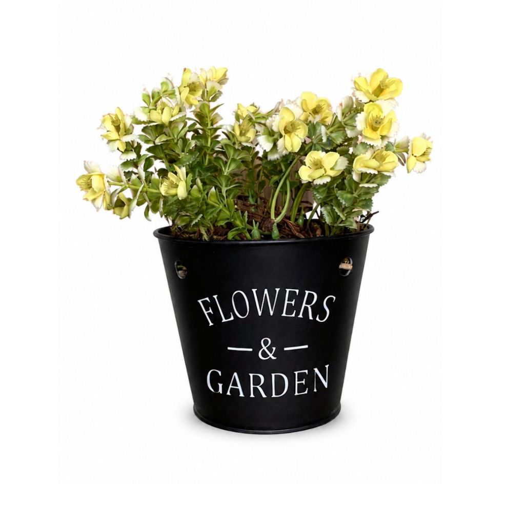 Arranjo Flor Nemesia Decoração Vaso Cachepô Flowers Garden