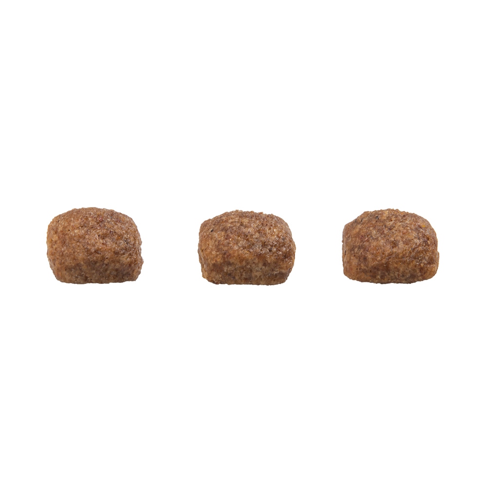 Ração Granplus Menu Adulto Raça Pequena Carne e Arroz 10,1 kg · foto 2