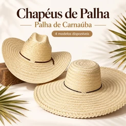 Chapéu de Palha Carnaúba Modelos Pantaneiro Gigantinho Arizona Mexicano Country Carnaúba Cavalgada Rodeio Serviço Sitio