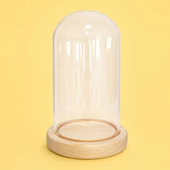 Cúpula Redoma de Vidro Decorativa 16x10cm - Base Madeira Clara - 1 unidade - Rizzo