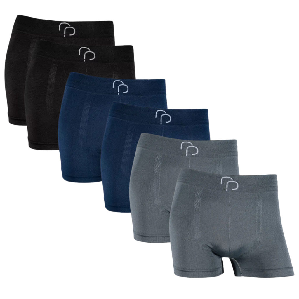 Kit 6 Cuecas Boxer Masculina Microfibra Sem Costura RP Lisa Elastano