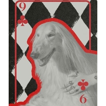 Quadros Decorativos Modernos Carta de Baralho Cachorro Galgo Vintage (1 peça)