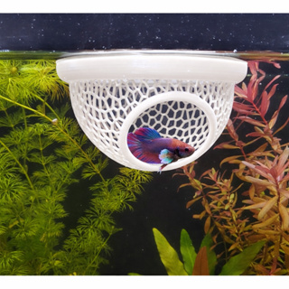 Esconderijo Flutuante para Peixes Betta Toca para Aquário Cama Folha Descanso Aquarismo Decoração em Oferta na Shopee