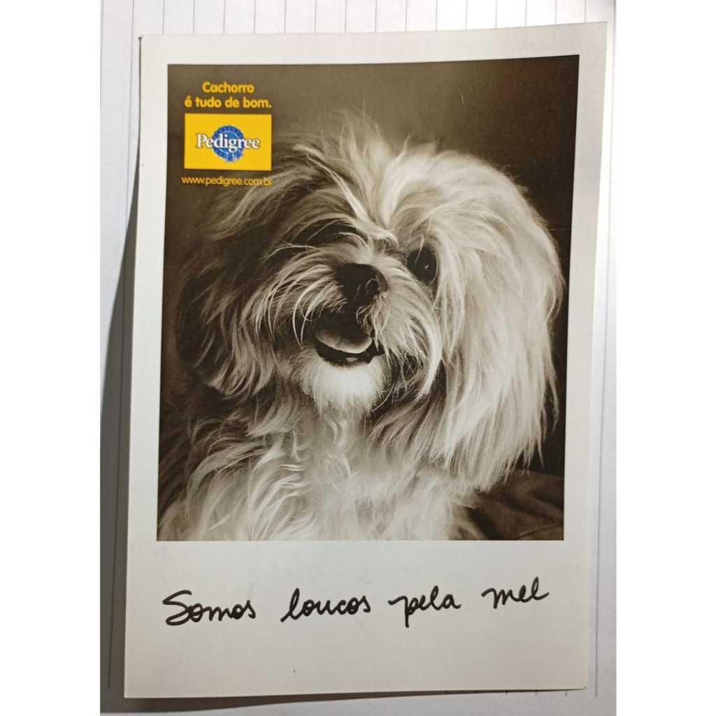 Cartão Publicitário – Pedigree – “Somos loucos pela Mel”