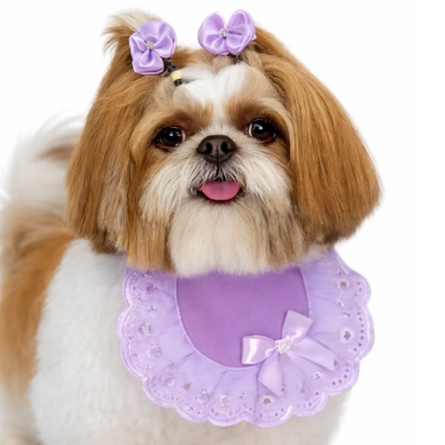 Babador Pet Elegante com Laços e Bordado – Roupa de Cachorro Fêmea - Banho e Tosa
