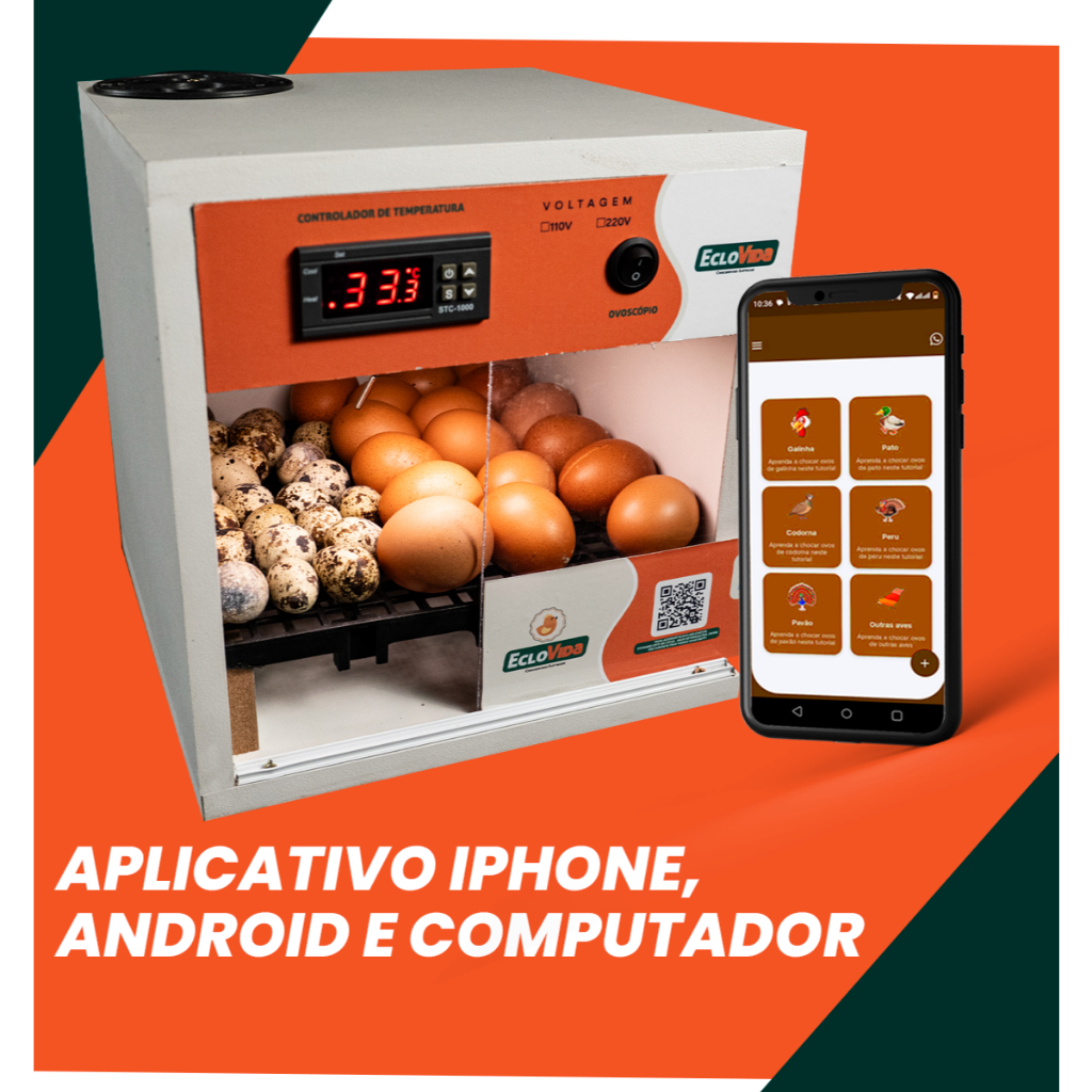 Chocadeira Elétrica Eclovida 20 Ovos de Galinha ou até 60 Ovos de Codorna + APP Bônus em Oferta na Shopee