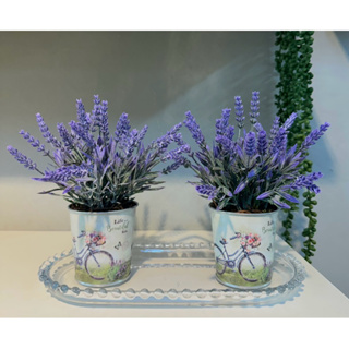 Arranjos de Lavanda na bandeja de Vidro em Oferta na Shopee