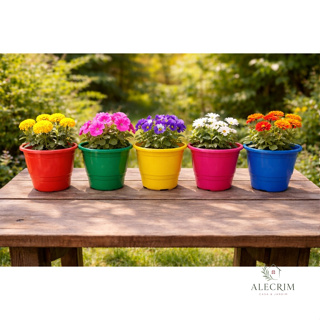 Kit Vasos De Planta Coloridos Pote 2,3 litros 17cm Reforçado Decoração Jardim Flores Plantas em Oferta na Shopee