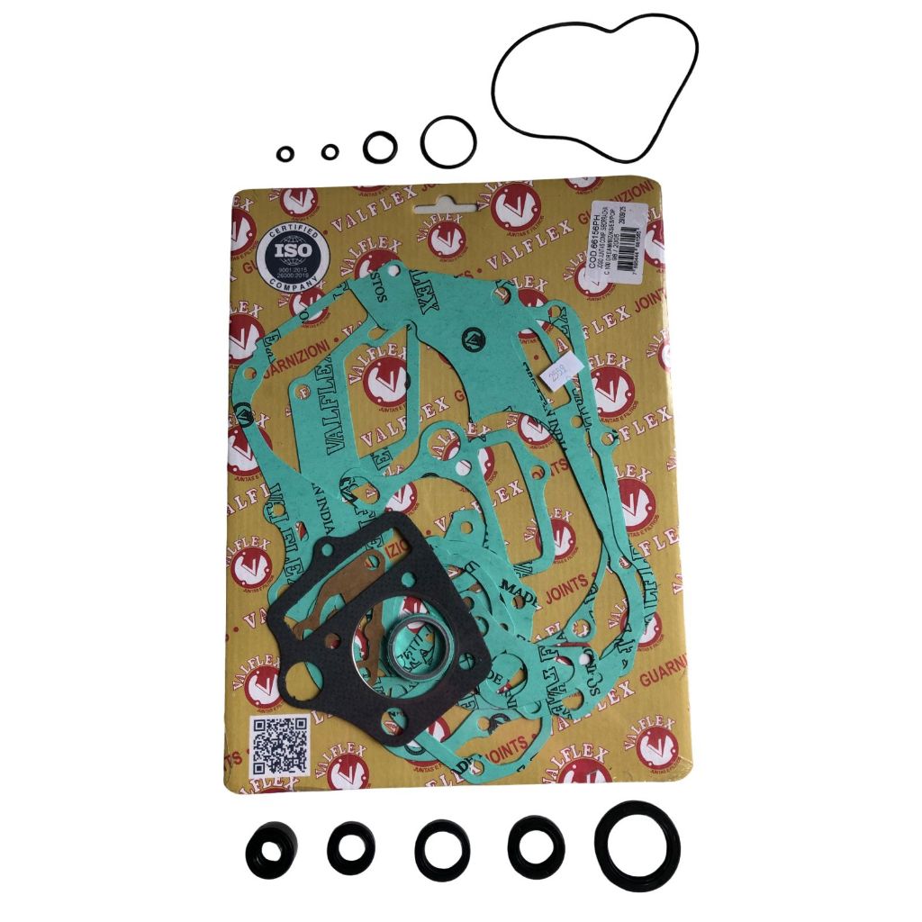 Jogo Kit Juntas Motor + Retentores Web 100